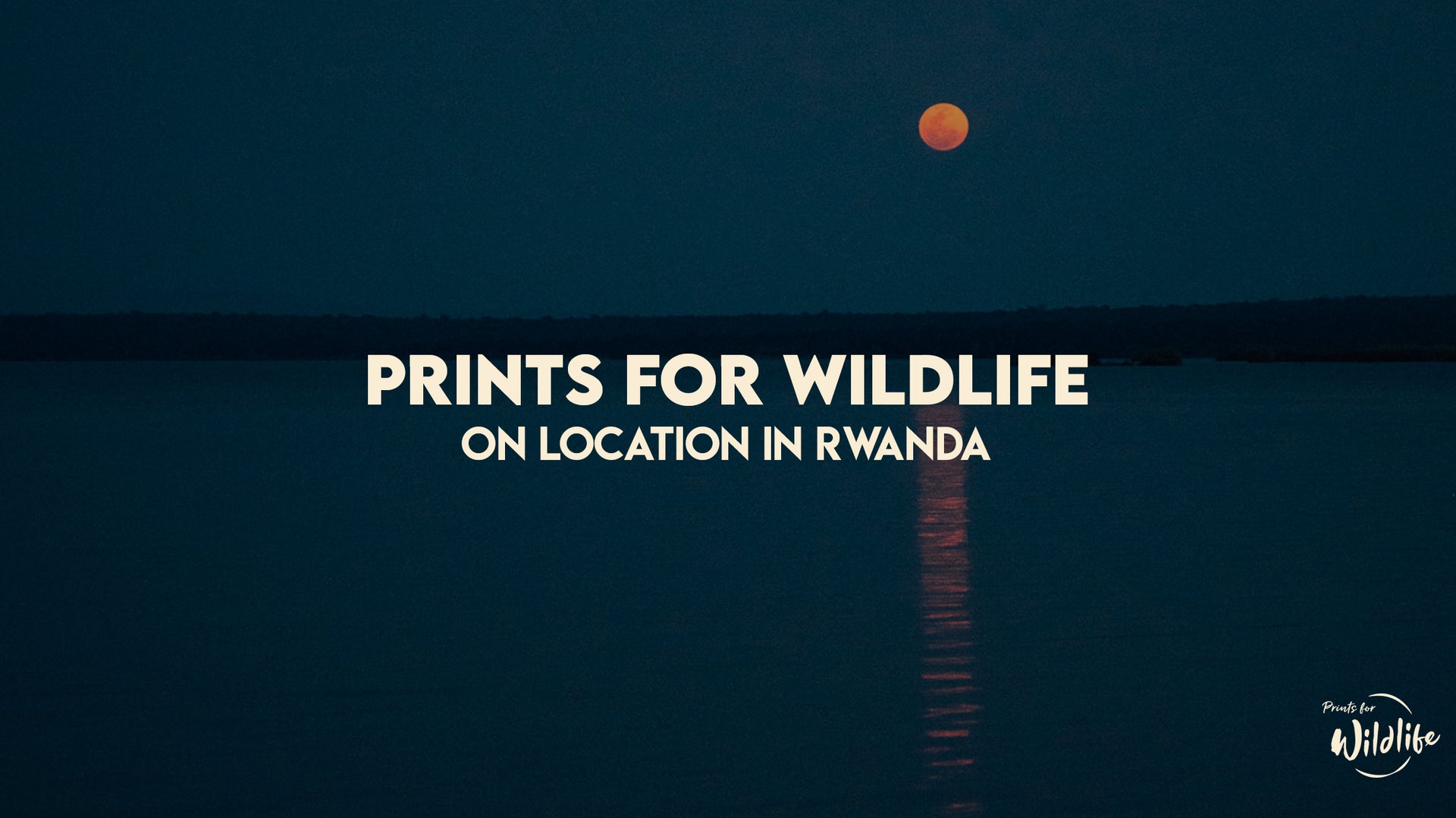 Load video: Prints for Wildlife visits Rwanda with African Parks