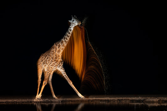 A Brushstroke of Gold