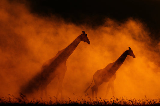 Blazing Through