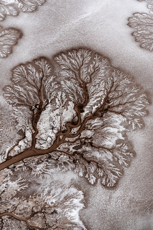 Colorado River Delta