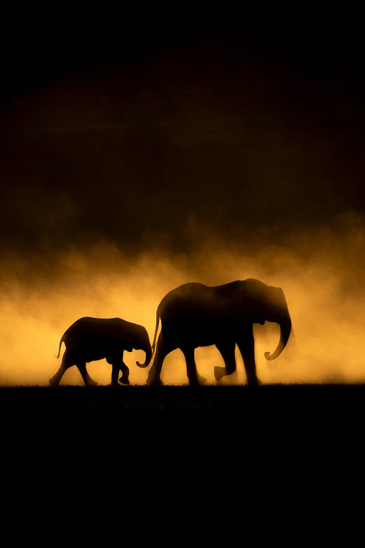 Golden Dust