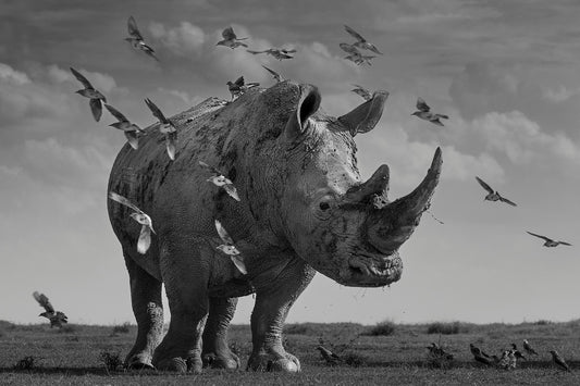 Guardian of the Grasslands