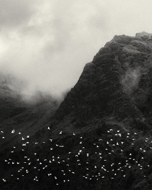 Lofoten