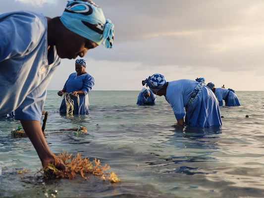 Mwani Zanzibar