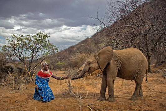 Naltwasha Meets Shaba