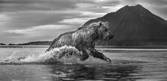 Onward