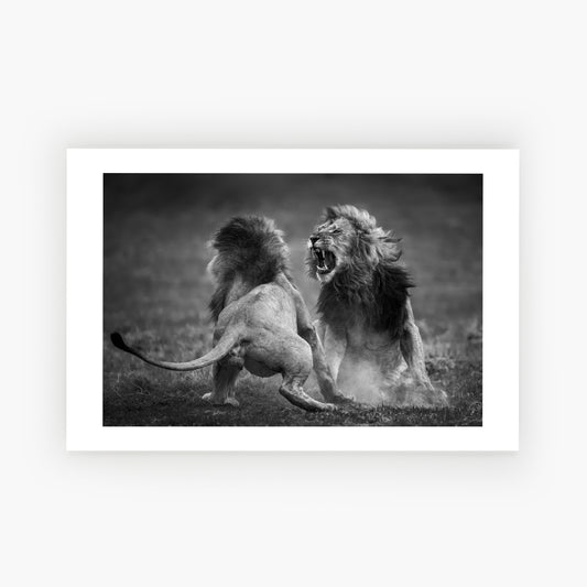 Quarrel 1