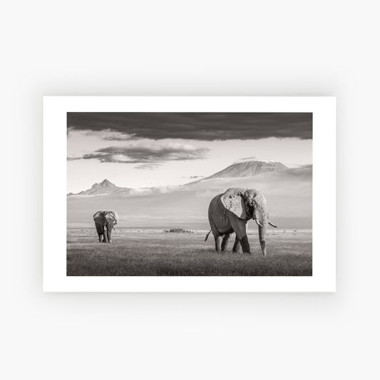 Amboseli Icons