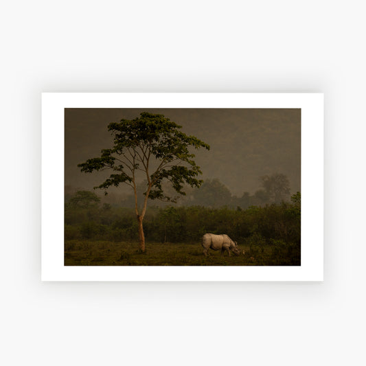Wild Renaissance, Rhino and tree on grass mixed with white egret