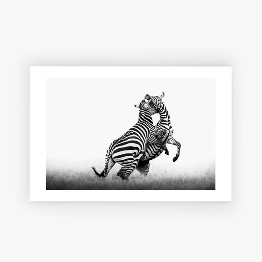 The Battle Of The Stripes