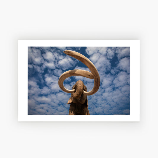 When Mammoths Ruled The Earth