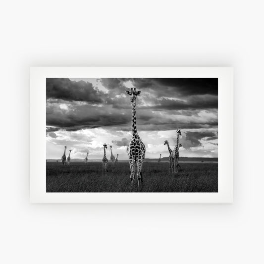 The Skyscrapers of Masai Mara