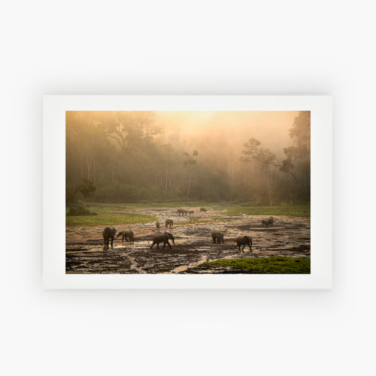 Village of Elephants