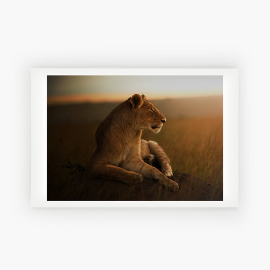 Queen Of The Golden Plains