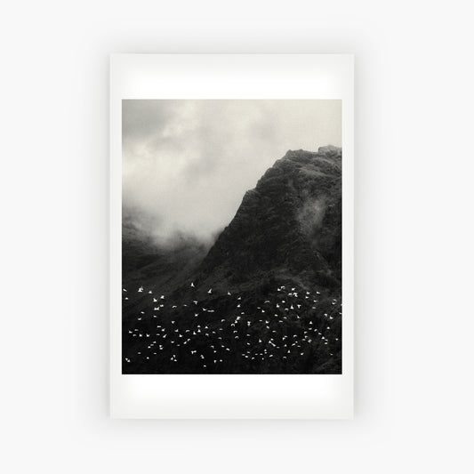 Lofoten