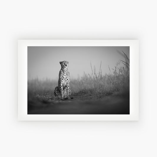 Contemplation