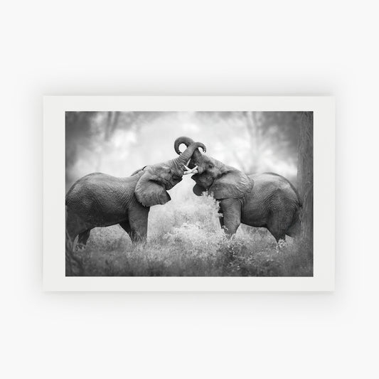 Trunk Tangle