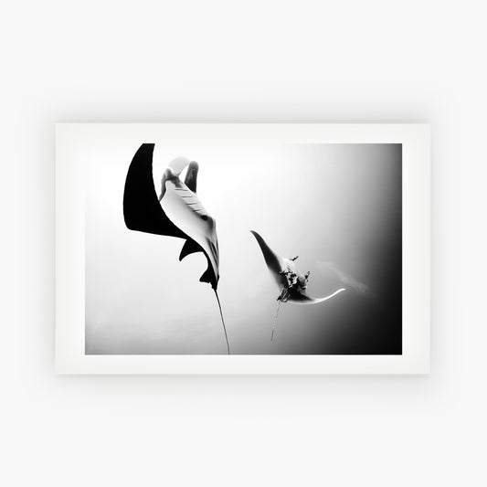 Ballet