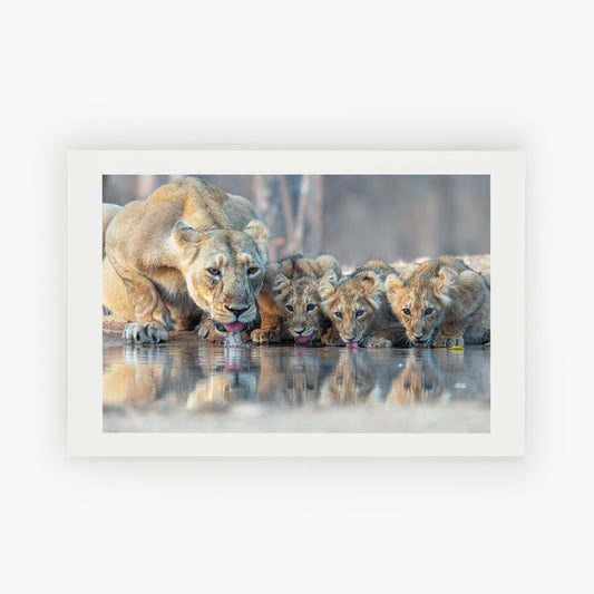 Family Gathering