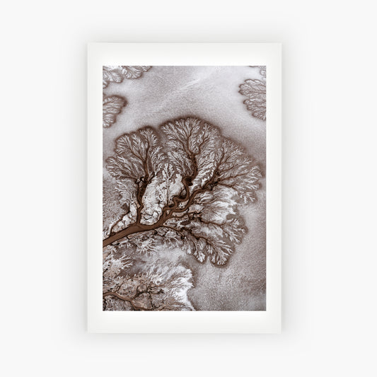 Colorado River Delta
