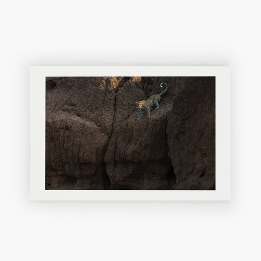The Descent