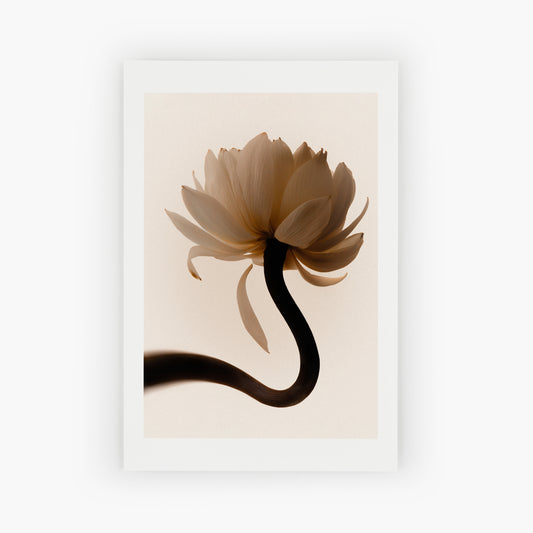 Flowers Experiment. Lotos