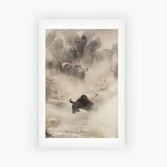 Rising from the dust