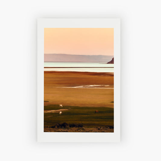 Patagonia