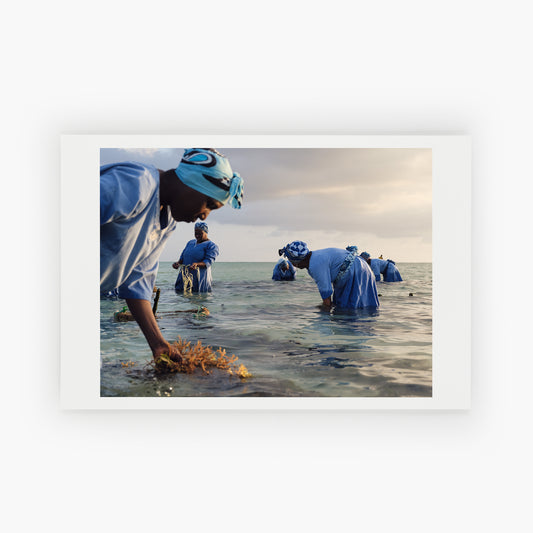 Mwani Zanzibar