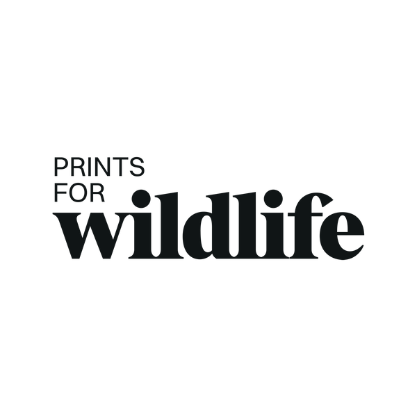Prints for Wildlife 2025