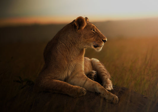 Queen Of The Golden Plains