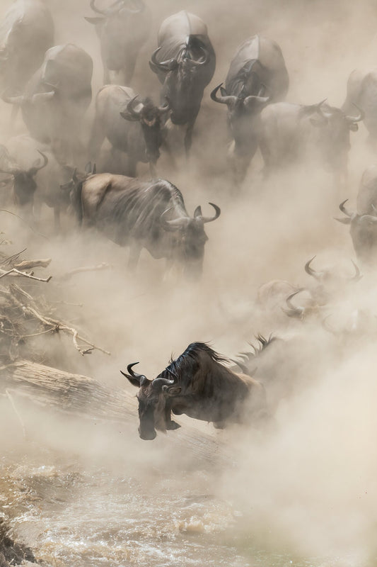 Rising from the dust