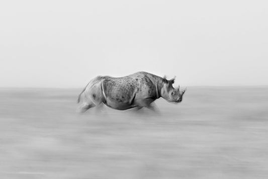 Running Wild