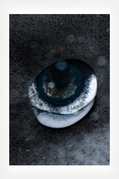 A Universe Within