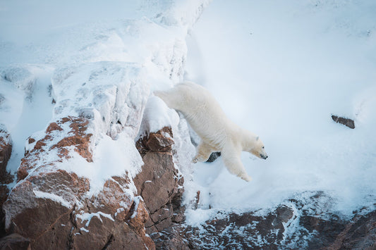 The White Spirit of the Arctic